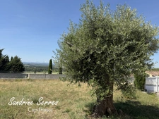 Villa de plain-pied avec vue sur les Pyrénées 