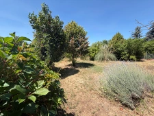 MAISON 100 M² AU CALME, 3 CHAMBRES, POSSIBILITE DE 4 CHAMBRES, TERRAIN DE 859 m², TERRASSE, POMPE A CHALEUR, CLIMATISATION, ASSAINISSEMENT COLLECTIF, TOITURE OK, DOUBLE VITRAGE GARAGE.