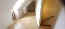 Beautiful neo-Breton house with 4000m2 of land in PLEUMEUR BODOU (22)