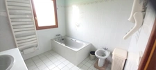 Beautiful neo-Breton house with 4000m2 of land in PLEUMEUR BODOU (22)