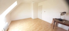 Beautiful neo-Breton house with 4000m2 of land in PLEUMEUR BODOU (22)