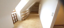 Beautiful neo-Breton house with 4000m2 of land in PLEUMEUR BODOU (22)
