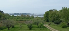 Beautiful neo-Breton house with 4000m2 of land in PLEUMEUR BODOU (22)
