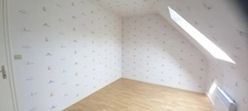 Beautiful neo-Breton house with 4000m2 of land in PLEUMEUR BODOU (22)