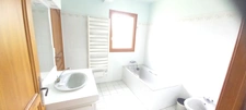Beautiful neo-Breton house with 4000m2 of land in PLEUMEUR BODOU (22)