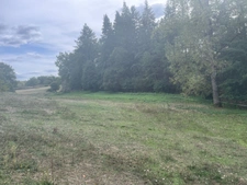 Propriété avec dépendances sur 1 hectare et demi 