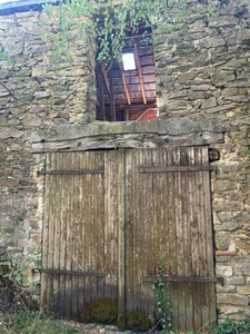 Maison bourgeoise de 8 pièces avec jardin, garage et dépendances
