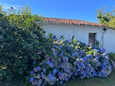 Belle maison en pierre de 125 m2 habitable avec 3 chambres et 4006m2 de terrain attenant 