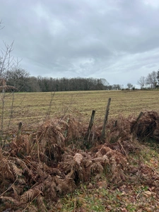 Terrain à vendre de 1 000,00 m² SAINT AMAND MAGNAZEIX (87)