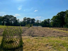 propriété, maison et nombreuses dépendances sur 1,3 hectare de terrain  SAINT MARTIAL SUR ISOP (87)