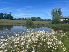 Maison, étang, dépendances, jardin  sur 8853 m2 de parcelle