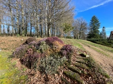 Très belle Propriété de  6,7hectares avec maison de plain-pied de 200m2, plan d'eau, gîte et dépendances 