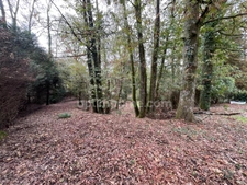 A vendre maison de 75 m2 habitables sur 2500 m2 de terrain avec puits  