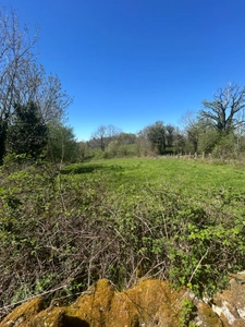 Ensemble immobilier en pierre avec 5000 m2 de terrain.