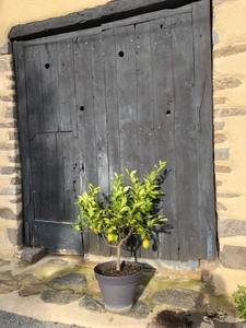  Charmante maison de 126 m2 de  4 chambres avec grange et jardin attenants