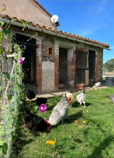 propriété, maison et nombreuses dépendances sur 1,3 hectare de terrain  SAINT MARTIAL SUR ISOP (87)