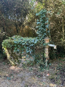 Maison bourgeoise de 8 pièces avec jardin, garage et dépendances