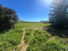 Ensemble immobilier en pierre avec 5000 m2 de terrain.