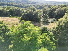 Propriété à vendre 10 pièces 400m2 habitable sur 3,5 hectares de terrain,  piscine et dépendances.