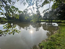 Terrain de loisirs de 16 960,00 m² Proche de BESSINES SUR GARTEMPE (87) avec petit étang.