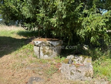 Belle propriété sur un parc d'un hectare. 