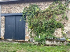Propriété avec dépendances sur 1 hectare et demi 