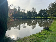 Terrain de loisirs de 16 960,00 m² Proche de BESSINES SUR GARTEMPE (87) avec petit étang.
