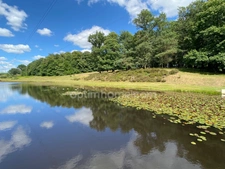 Très belle Propriété de  6,7hectares avec maison de plain-pied de 200m2, plan d'eau, gîte et dépendances 