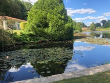 Très belle Propriété de  6,7hectares avec maison de plain-pied de 200m2, plan d'eau, gîte et dépendances 