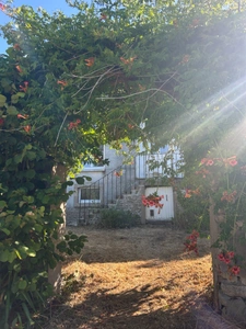 Maison bourgeoise de 8 pièces avec jardin, garage et dépendances