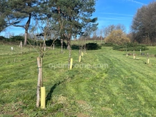 Très belle Propriété de  6,7hectares avec maison de plain-pied de 200m2, plan d'eau, gîte et dépendances 