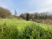 Maison en pierre- grange -terrain 4274 m2  SAINT PRIEST LA FEUILLE (23)