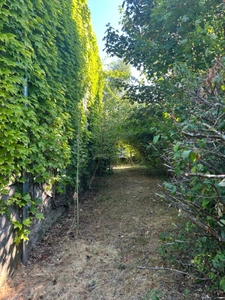 Maison bourgeoise de 8 pièces avec jardin, garage et dépendances