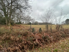 Terrain à vendre de 1 000,00 m² SAINT AMAND MAGNAZEIX (87)