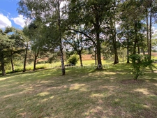 Très belle Propriété de  6,7hectares avec maison de plain-pied de 200m2, plan d'eau, gîte et dépendances 