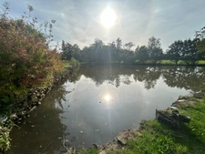 Terrain de loisirs de 16 960,00 m² Proche de BESSINES SUR GARTEMPE (87) avec petit étang.