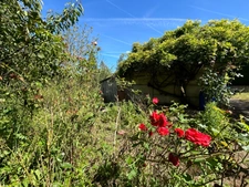 Maison à vendre 4 pièces LUSSAC LES EGLISES (87) sur grand jardin clos de 1954m2 proche ruisseau.