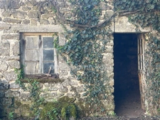 Ensemble immobilier en pierre avec 5000 m2 de terrain.