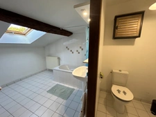 Propriété à vendre 10 pièces 400m2 habitable sur 3,5 hectares de terrain,  piscine et dépendances.