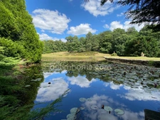 Très belle Propriété de  6,7hectares avec maison de plain-pied de 200m2, plan d'eau, gîte et dépendances 