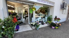 Fonds de commerce Fleuriste à vendre MAGNAC LAVAL (87)