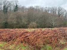 Bâtiment de 420m2 sur 2,9 hectares de terrain et bois.