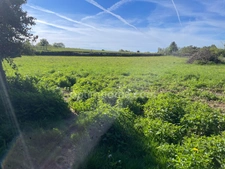 Ensemble immobilier en pierre avec 5000 m2 de terrain.
