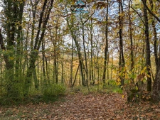 Maison à vendre 4 pièces MONTCABRIER (46) maison de 85 m2 sur un terrain de 1,12ha et de bois