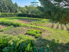 House for sale 5 rooms MONTAYRAL (47) on 3448 m² enclosed land