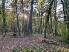 Maison à vendre 4 pièces MONTCABRIER (46) maison de 85 m2 sur un terrain de 1,12ha et de bois