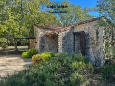 Propriete à vendre 5 pièces MAUROUX (46), 100 m2 sur 1,5ha de terrain