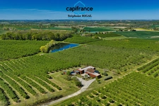 Propriete à vendre 6 pièces MONSEGUR (47) Maison de 170m2 environ sur 2500m2 de terrain