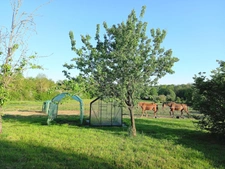 Longère 8 pièces - 5 chambres - terrain 2,5ha