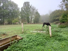 SAINT-PIERRE-LA-COUR – Longère en pierre 130m² avec dépendances et terrain d'1,34ha